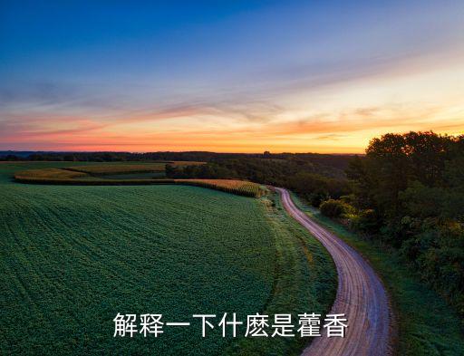 解释一下什麽是藿香