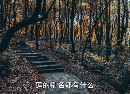 莲的别称，莲的别名都有什么