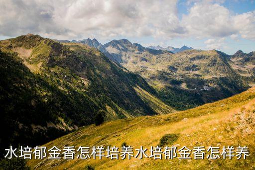 水培郁金香怎样培养水培郁金香怎样养