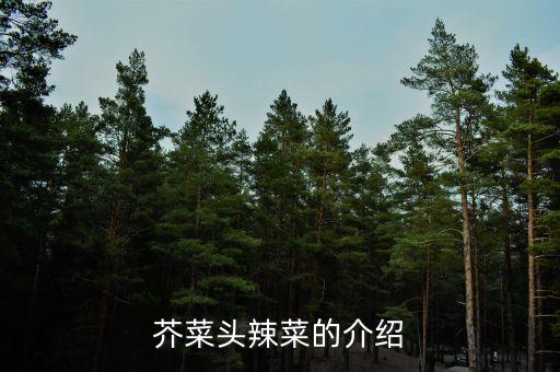 芥菜头辣菜的介绍