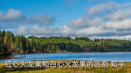 红心火龙果和白心火龙果的区别 知乎