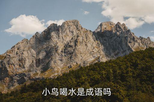 小鸟喝水是成语吗