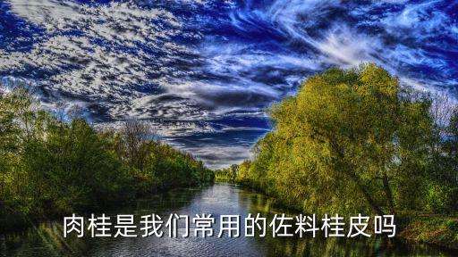 肉桂是桂皮吗，肉桂是我们常用的佐料桂皮吗