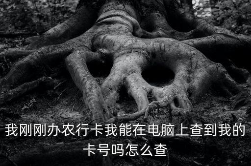 我刚刚办农行卡我能在电脑上查到我的卡号吗怎么查