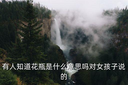 花瓶是什么意思，花瓶在网络用语中是什么意思
