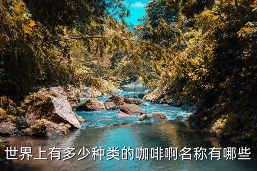 世界上有多少种类的咖啡啊名称有哪些