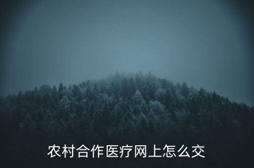 怎么网上交农业保险呢，农村合作医疗网上怎么交