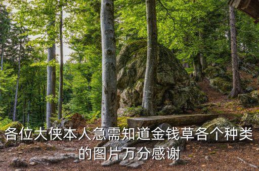 各位大侠本人急需知道金钱草各个种类的图片万分感谢