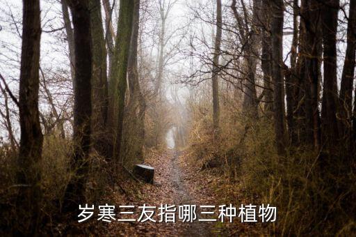 岁寒三友指哪三种植物