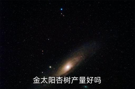金太阳杏，金太阳杏树产量好吗