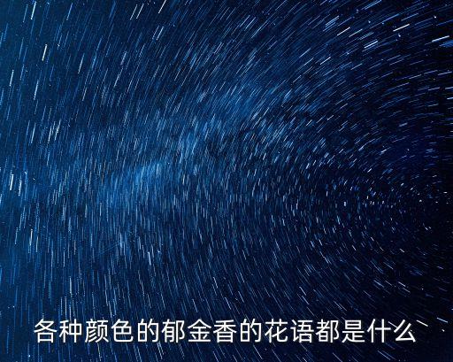 红色郁金香，各种颜色的郁金香的花语都是什么