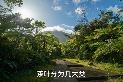 茶分类，有几种茶分别叫什么
