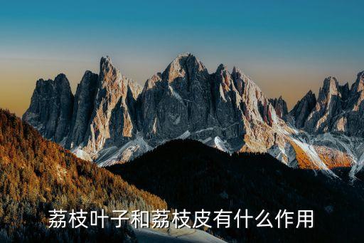 荔枝叶子和荔枝皮有什么作用