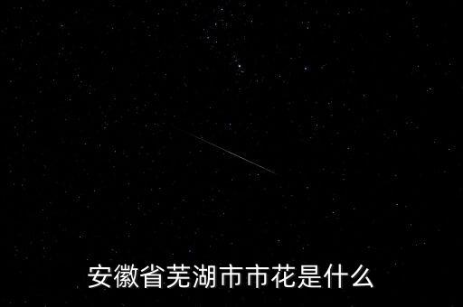 芜湖市市花，芜湖市的市花和市花的介绍