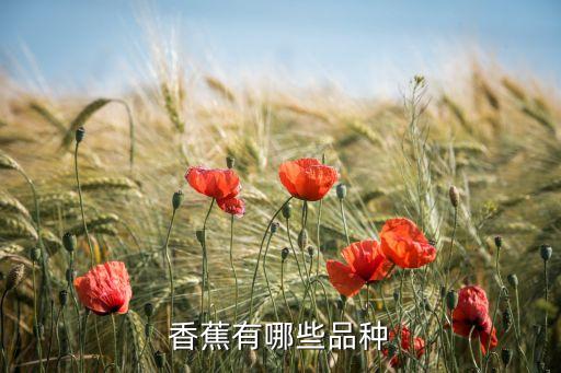 香蕉有几种品种，香蕉有多少个种类