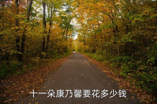 康乃馨一般多少钱，一束粉红色康乃馨多少钱