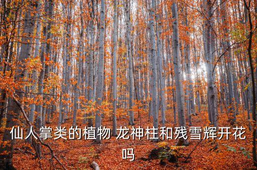龙神柱，多肉类植物的龙神柱花可以吃吗
