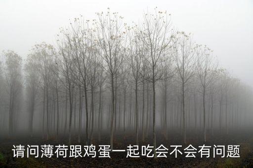 请问薄荷跟鸡蛋一起吃会不会有问题