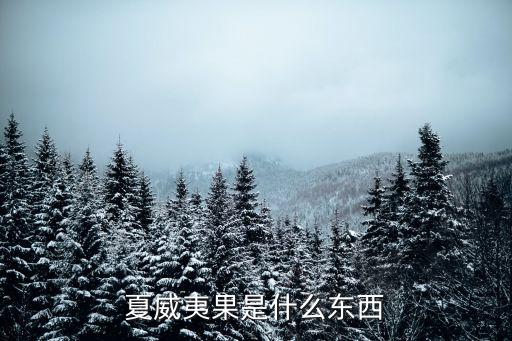 夏威夷果，什么叫夏威夷果