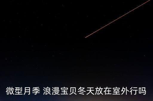 浪漫宝贝月季，微型月季 浪漫宝贝冬天放在室外行吗