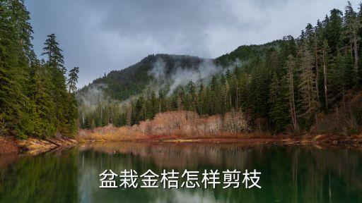 金桔树怎么修剪，金桔树怎么修剪频