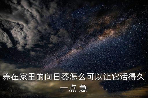 向日葵能养多久，向日葵用什么养时间久一点