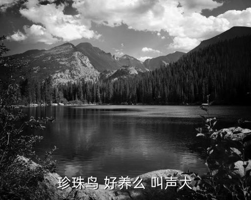 珍珠鸟好养吗，珍珠鸟 好养么 叫声大