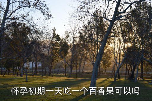 怀孕初期一天吃一个百香果可以吗