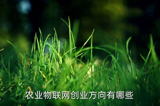 农业物联网创业方向有哪些