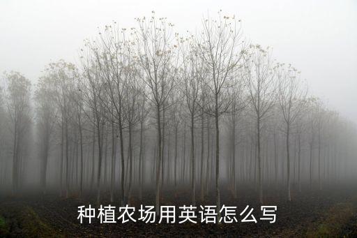 种植农业英文怎么写，种植水稻 渔业英语怎么说