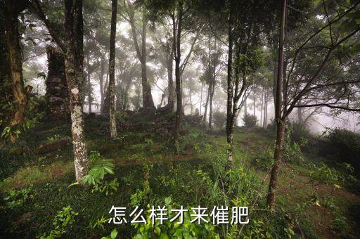 怎么样才来催肥