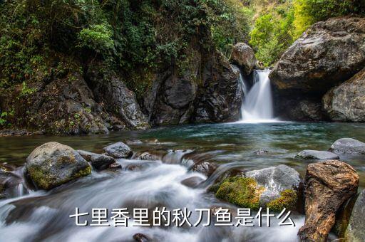 秋刀鱼图片，七里香里的秋刀鱼是什么