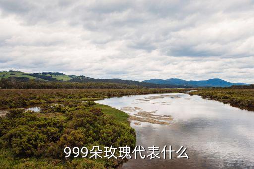 999朵玫瑰，999朵玫瑰代表什么