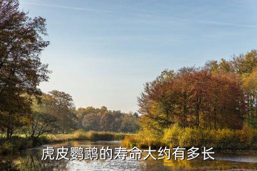 虎皮鹦鹉寿命，虎皮鹦鹉的寿命大约有多长