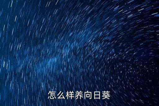 怎么样养向日葵