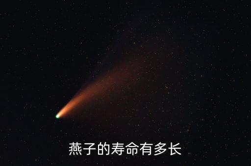 燕子能活几年，燕子能活多长时间