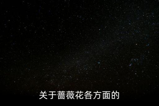 关于蔷薇花各方面的