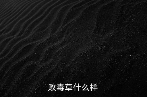 败毒草，百毒草什么样