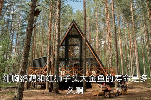 绯花玉寿命是几年，地球的寿命有几年
