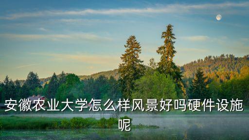 安微农业大学怎么样，安徽农业大学怎么样风景好吗硬件设施呢