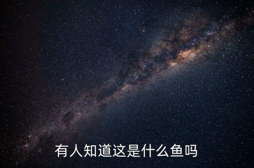 有人知道这是什么鱼吗
