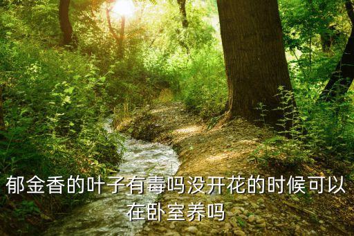 郁金香叶子，郁金香叶片枯黄怎么办