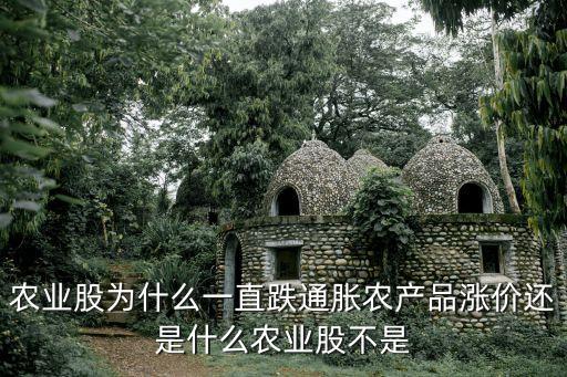 农业股为什么一直跌通胀农产品涨价还是什么农业股不是