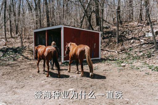 登海种业为什么一直跌
