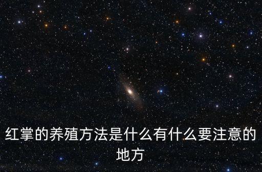 红掌花怎么养，红掌怎么养