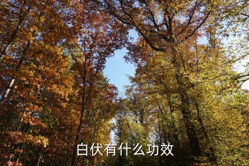 白伏有什么功效