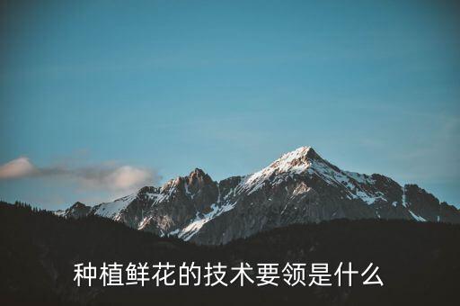 种植鲜花的技术要领是什么