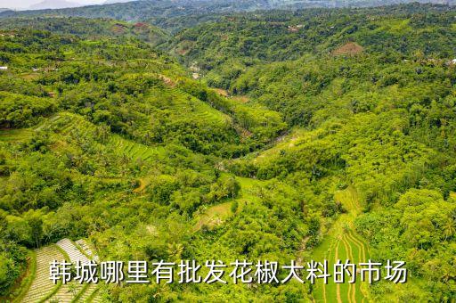 韩城哪里有批发花椒大料的市场