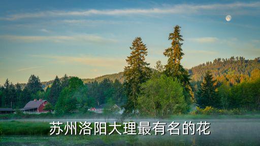 苏州洛阳大理最有名的花