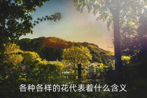 各种各样的花代表着什么含义